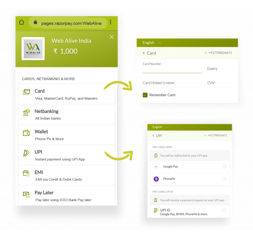 Razorpay payment options